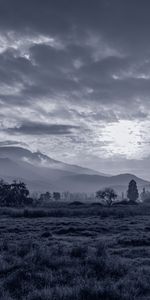 Naturaleza,Sol,Las Colinas,Bw,Árboles,Hierba,Colinas,Chb