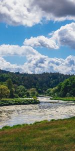 Nature,Trees,Grass,Winding,Sinuous,Rivers,Forest