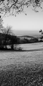 Naturaleza,Árboles,Las Colinas,Bw,Césped,Colinas,Chb,Paisaje