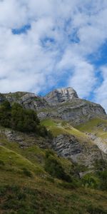 Nature,Trees,Hills,Landscape