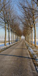 Nature,Trees,Horizon,Road,Asphalt,Path,Way,Line