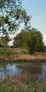 Nature,Trees,Lake