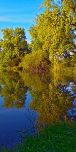 Árboles,Lago,Paisaje,Naturaleza,Otoño