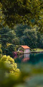 Confort,Nature,Arbres,Lac,Loger,Petite Maison