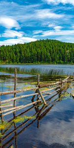 Nature,Montagnes,Arbres,Lac,Clôture