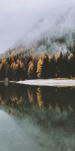 Nature,Brouillard,Serrure,Arbres,Lac,Fermer À Clé,Automne