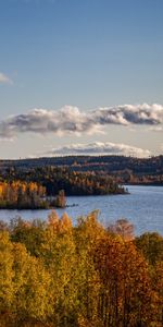 Nature,Trees,Lake,Forest,Branches,Autumn