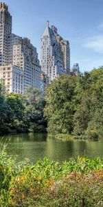 Nature,Trees,Lake,Forest,City,Building