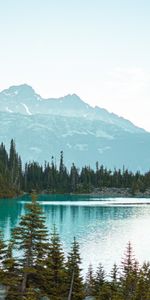 Nature,Trees,Lake,Forest,Spruce,Fir,Mountains