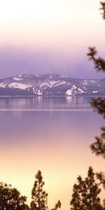 Nature,Trees,Lake,Mountains