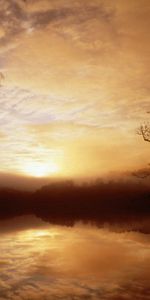 Nature,Trees,Lake,Outlines,Fog,Morning,Dawn