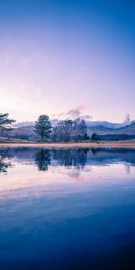 Nature,Trees,Lake,Reflection,Dusk,Twilight