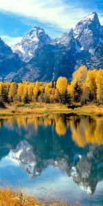 Nature,Réflexion,Forêt,Wyoming,Parc National,Arbres,Lac,Automne