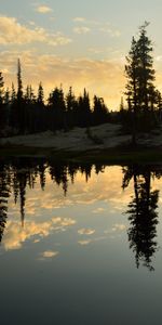 Nature,Trees,Lake,Reflection,Forest,Spruce,Fir