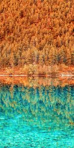 Nature,Trees,Lake,Reflection,Hdr