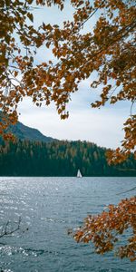 Naturaleza,Árboles,Lago,Orilla,Banco,Sucursales,Ramas,Un Barco,Bote