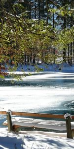 Nature,Trees,Lake,Shore,Bank,Melting,Ice,Snow,Bench,Spring