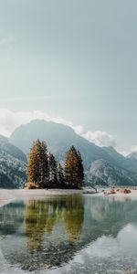 Nature,Trees,Lake,Shore,Bank,Mountains,Fog,Landscape