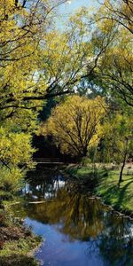 Arbres,Rivage,Nature,Forêt,Les Rives,Lac,Australie