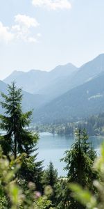 Nature,Trees,Lake,Shore,Mountains,Bank,Forest