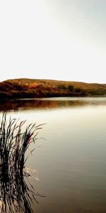 Lago,Luz Del Sol,Cañas,Rayos De Sol,Ribera,Las Orillas,Naturaleza,Árboles