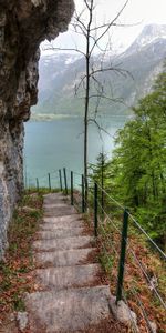 Nature,Trees,Lake,Steps,Descent,Rock,Landscape