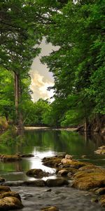 Nature,Trees,Landscape