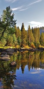 Nature,Trees,Landscape,Lakes