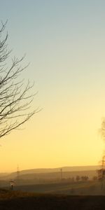 Nature,Trees,Light,Sunset,Shine