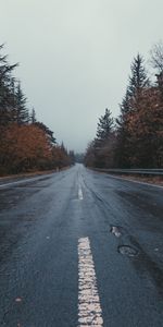 Nature,Trees,Markup,Mainly Cloudy,Overcast,Road