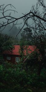 Nature,Trees,Miscellanea,Country,Fog,Miscellaneous,House