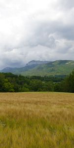 Nature,Arbres,Montagne,Domaine,Champ,Paysage