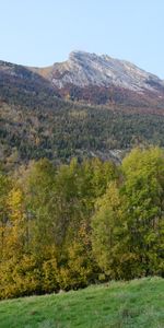 Nature,Trees,Mountain,Forest,Landscape