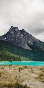 Forêt,Montagne,Arbres,Rivières,Nature,Paysage