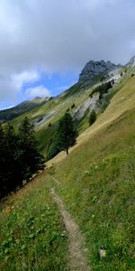 Nature,Montagne,Pente,Arbres,Chemin,Paysage