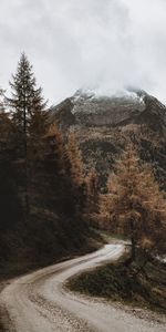 Nature,Trees,Mountain,Road,Landscape