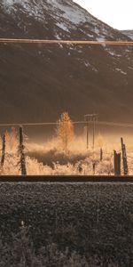 Nature,Trees,Mountain,Slope,Railway