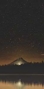 Naturaleza,Árboles,Noche,Montaña,Lago,Cielo Estrellado