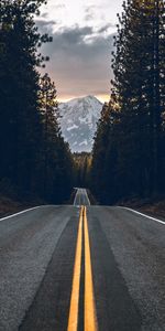 Nature,Trees,Mountain,Top,Road,Vertex