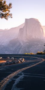 Nature,Trees,Mountain,Turn,Branches,Road