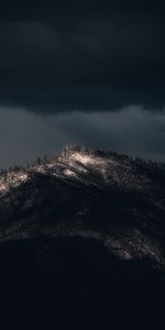 Nature,Trees,Mountain,Vertex,Top,Dark,Darkness