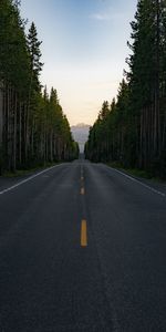 Nature,Trees,Mountain,Vertex,Top,Road