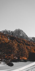 Naturaleza,Árboles,Nieve,Montaña,Arriba,Vértice,Paisaje