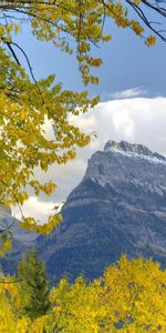 Nature,Feuilles,Branches,Dahl,Distance,Montagnes,Branche,Arbres,Automne