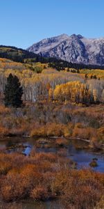 Vértice,Naturaleza,Árboles,Otoño,Arriba,Bosque,Montañas