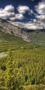 Naturaleza,Árboles,Montañas,Canadá,Alberta,Albert,Banff,Hdr