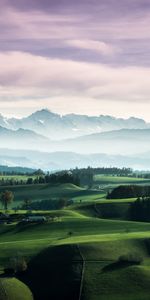 Arbres,Imeuble,Bâtiment,Brouillard,Les Collines,Collines,Nature,Montagnes,Paysage