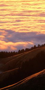 Nature,Trees,Mountains,Clouds,Conifers,Coniferous