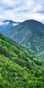 Montagnes,Nuages,Nature,Arbres,Forêt,Paysage