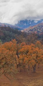 Nature,Trees,Mountains,Clouds,Hills,Landscape